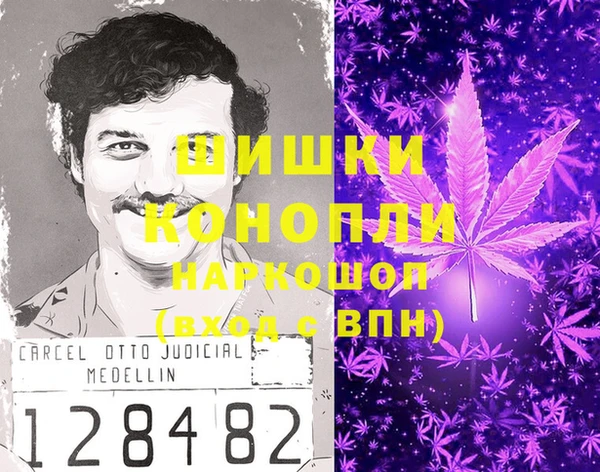 амф Балахна