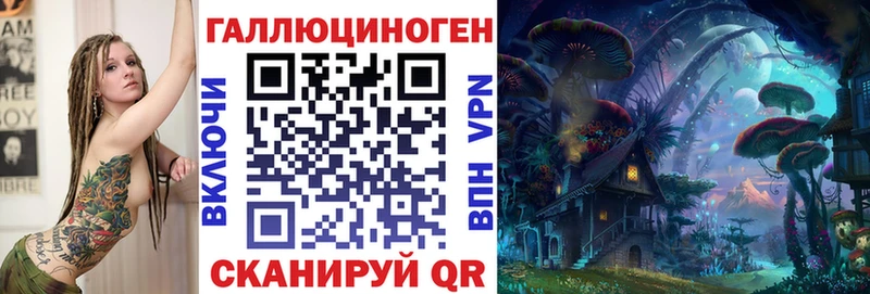 Псилоцибиновые грибы Psilocybe Новосокольники